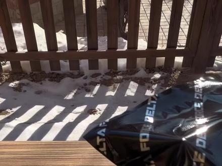 妈妈👩我要买这个三角洲行动盲盒
买,3️⃣个够不
够了,谢谢妈妈
#三角洲行动盲盒 #三角洲行动官方盲盒 #三角洲行动周边 #新号求关注 #新号养成计划