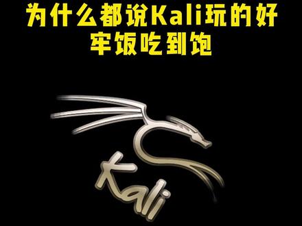为什么都说Kali玩的好牢饭吃到饱? #网络安全 #黑客 #kali #程序员节 #编程
