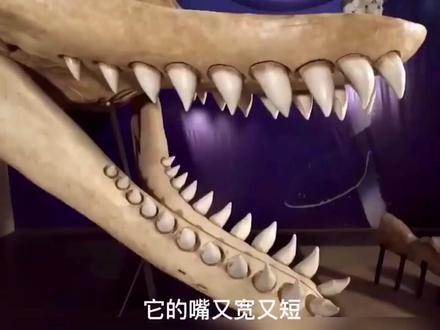 世界上最可怕的海洋生物4#奇闻奇事#世界之最#海怪#海洋生物
