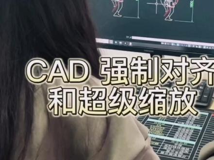 CAD缩放技巧 #CAD