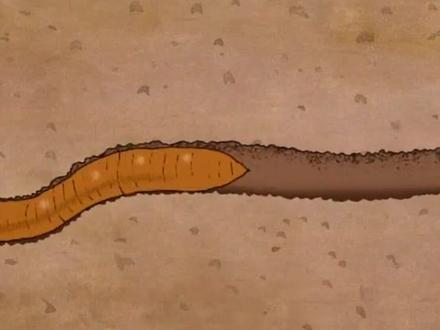 英语绘本 蚯蚓的日记#英语启蒙#看动画学英语 #绘本故事 diary of worm