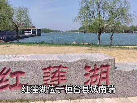 山东淄博红莲湖您去过吗?最美的风景在路上带您去看看。