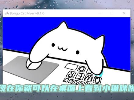 拥有桌面猫咪?下期教你设置更加炫酷的猫咪#bongocat教程 #戴尔课戴表 @抖音小助手