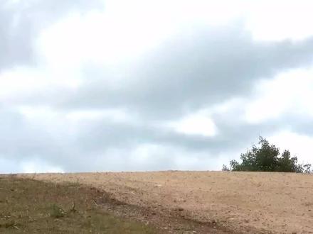 拉力赛车为什么都选两厢车呢?看完就明白了!!#拉力赛 #wrc #赛车 #wrc拉力赛 #速度与激情