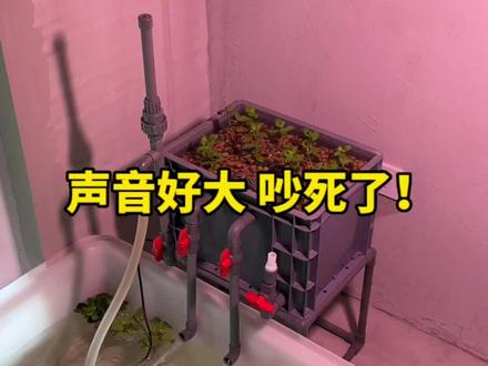 过滤出水口声音好大,吵得人不开心!#养龟日常 #十二又的龟派气功