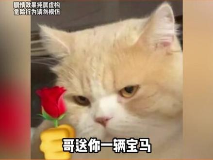 这瞬爆捏的是真紧啊 #交通 #万万没想到