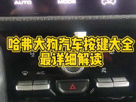 哈弗大狗汽车按键大全,赶快收藏吧#哈弗大狗 #汽车干货分享 #哈弗suv