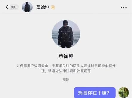 宗主对粉丝的问题也会认真回答#蔡徐坤 #鸡你太美 #挖什么金矿 #小黑子 #剪映