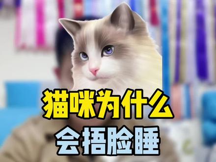 猫咪为什么会捂脸睡#萌宠知识 #养猫养猫 #涨知识 #萌宠 #喵星人 #猫 #猫睡觉 @DOU+小助手