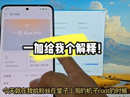 给我一个合理的解释?! #拍机堂淘机 #刷机 #一加