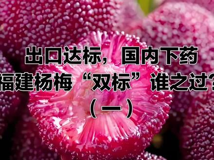 出口达标 国内下药 福建杨梅“双标”谁之过? 出口达标 国内下药 福建杨梅怎么了?#杨梅 #食品安全 #水果 #家庭 #健康
