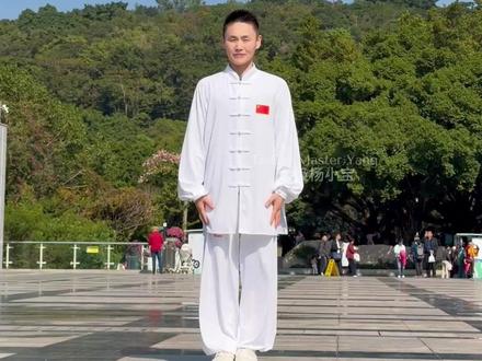 每天练一遍 #太极 #太极拳 #马步