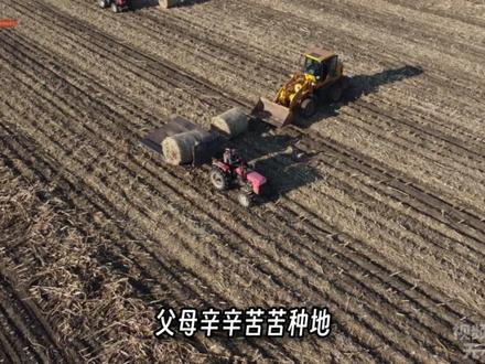 她故意考“零分”,试卷上怒写千字抨击教育制度,如今多年过去,她已然后悔,别让一时情绪毁了自己的后半生#高考 #热点 #人物故事 #现实