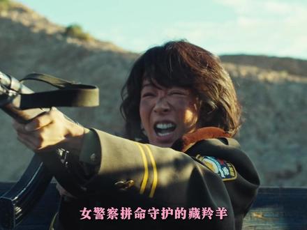 当亲人的面孔出现在羊皮血泊中,她手中的枪该如何举起?#生命树 #生命树杨紫守护高原绝境 #杨紫 #周思羽 #抖音精选