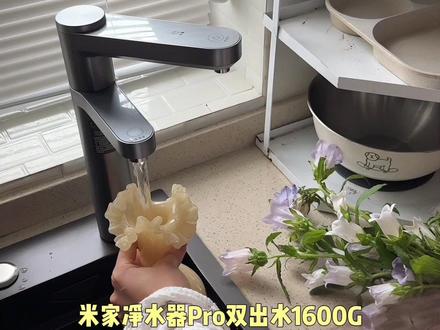 净水器选这个没错#米家产品开新不停 #米家净水器 Pro 双出水 1600G #小米双出水净水器