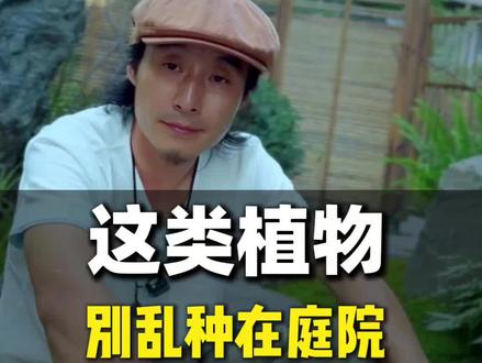 庭院里不能乱种这类型的植物 #庭院设计#花园施工#半野主义#花园设计#庭院植物