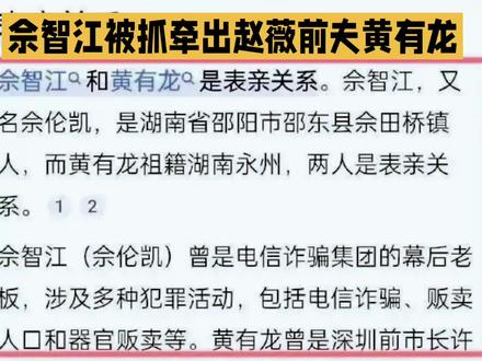 佘智江被抓,牵出赵薇前夫黄有龙和妙瓦底诈骗的瓜,真相太炸裂
