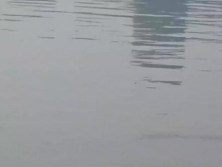 立春之初能钓草鱼吗?水温5度草鱼有口,关键是选对天气时段与钓位