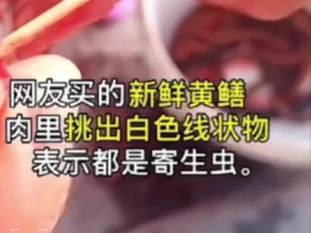 看完黄鳝体内的大虫子🐛就问你还能吃的那么香吗😭😭#科普 #黄鳝#美食#创意灵感#我要上热门