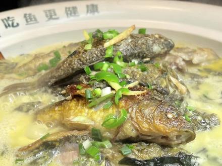 新鲜的桂鱼、黄骨鱼和荷花鱼做成的河鱼一锅鲜,营养鲜美又下饭#好食材好味道 #湘菜 #河鱼一锅鲜 #家常菜 #抖音美食推荐官