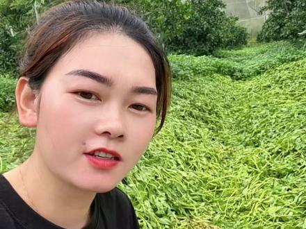 满田的水花生要不要管它😂 #除水花生专用药