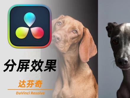 达芬奇4种分屏技巧|新手到高阶全覆盖剪视频还只会一种分屏? 达芬奇4种分屏技巧|新手到高阶全覆盖
剪视频还只会一种分屏?达芬奇四种做法一次性讲清
#达芬奇剪辑#剪辑教程#视频分屏技巧#达芬奇 #达芬奇