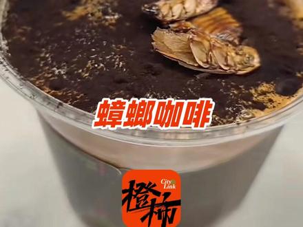 蟑螂咖啡一杯四十元,你敢喝吗