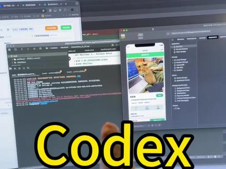 codex真神!#codex