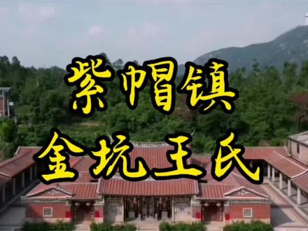 金坑王氏,泉州的一个大家族🌹#泉州金坑王氏#闽南姓氏#闽南语#