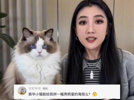 振华小猫拼豆系列又来了~大家继续点菜哦~ #AI #seedance #拼豆 #猫咪 #即梦ai