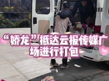 “娇龙”赴疆 万朵云花赠新疆
一株“娇龙”,牵动两地情。2月1日,上万支带着云岭春天气息的云南鲜切花,从昆明起飞,跨越山河,抵达新疆。2月2日,“娇龙”月季植株将赠予远道而来的新疆昭苏县代表,完成一场温暖的交接。