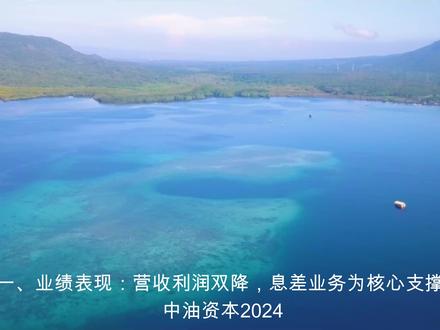 解读分析一家公司 中油资本000617