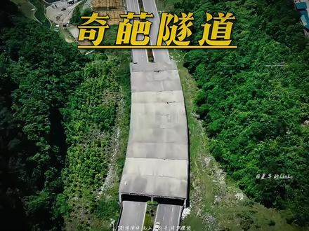 这应该是国内最奇葩的隧道了......