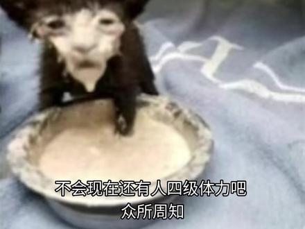 你们体力满级了没#三角洲行动
