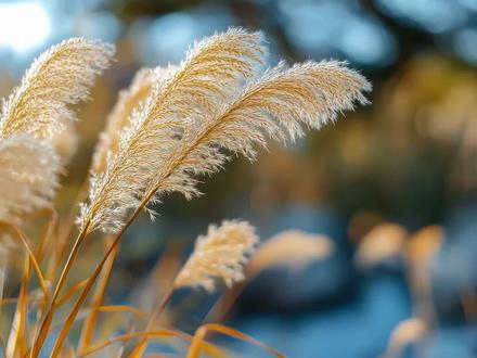 《民俗故事里的传统节日》之重阳节:在吃重阳糕、饮菊花酒、登高远眺的民俗中,体悟敬老爱老、尊重生命的时代内涵。#网眼看海西 #网络中国节 #尊老爱老在重阳