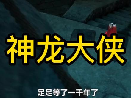 神龙大侠,熊猫