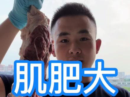 首先要分清楚不同类型肌肥大的生理基础,才能选择服务于自身目标的功能性训练!#运动表现 #体育生 #体能训练 #增肌 #健身干货