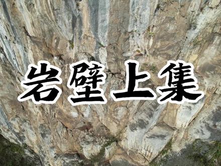 专业寻找五灵脂的精神小伙。有喜欢的吗?#我要上热门 #五灵脂