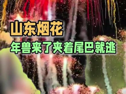 别问,问就是去年剩的#山东 #烟花 #春节