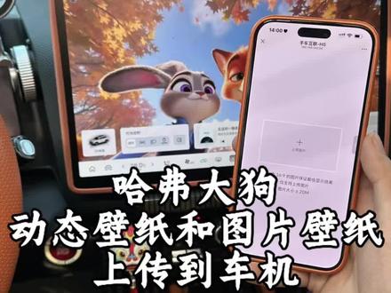26款哈弗大狗车机自定义更换壁纸和动态壁纸的设置详细教程,一期视频给各位车友讲清楚 #哈弗大狗 #自定义壁纸 #动态壁纸