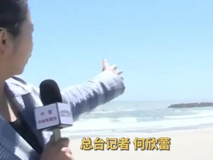 总台记者现场直击最近点位!日本东电称今天(24日)开始将核污染水排海,计划持续排放17天。(央视频号:新闻来了)