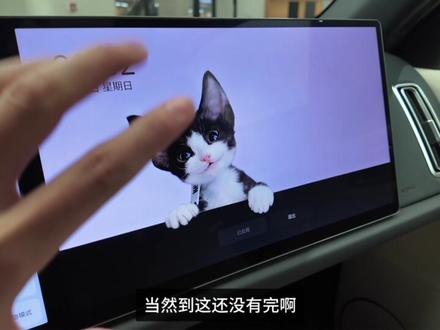 火出圈的萌宠屏保“保姆级操作教程”! 看到有的理想车主说:已经去喵星的猫咪,在我的车机屏保里复活了,真的泪目了!#理想汽车 #理想汽车在河北 #毛孩子 #宠物