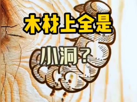 除家里木制材料家具虫蛀,室内各种蚊虫蟑螂蚂蚁小飞虫,对人类宠物无毒安全#杀虫剂#除虫 #除虫小妙招 #除四害 @巨量千川 #杀虫剂