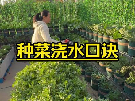 种菜浇水口诀#三农 #新农人计划 #一份耕耘一份收获 #种植小技巧