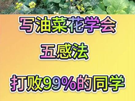 五感法写作文技巧 油菜花写作 我的植物朋友#语文作文写作技巧 #创作者中心 #创作灵感 #知识分享 #三年级下册作文