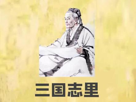 医圣到底是否存在 #历史 #三国 #张仲景 #华佗