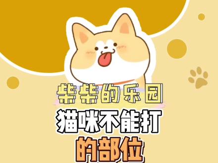 这几个部位打了,容易出猫命!#宠物知识 #铲屎官的乐趣 #喵星人