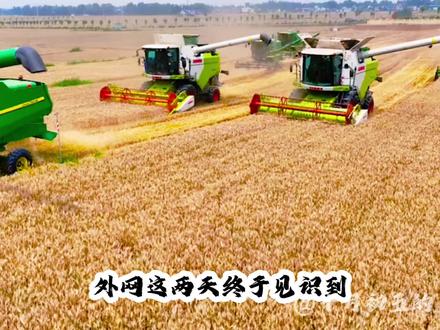 团结就是力量 #抖音点赞最高作品 #农机跨区收割 #收割机跨区作业记录 #小麦生产安全 #小麦收割机