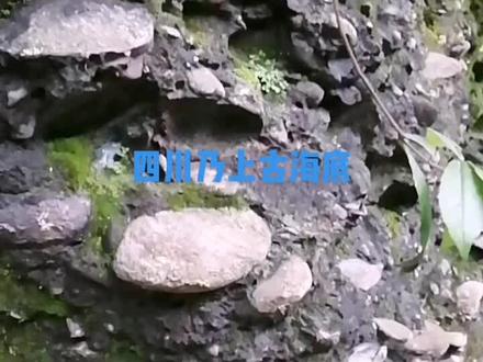 四川盆地乃上古海底#四川盆地获重要发现 #四川地质运动 #大自然的鬼斧神工