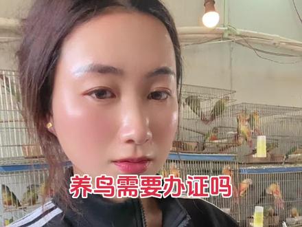 养鸟到底需不需要办证?